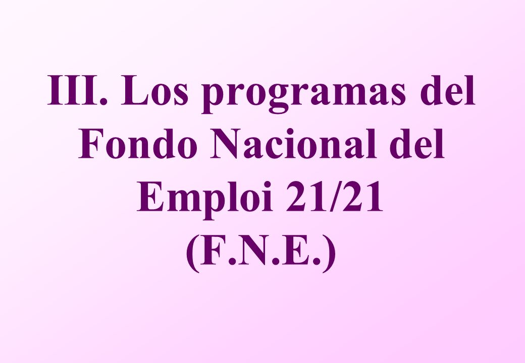 III. Los programas del Fondo Nacional del Emploi 21/21 (F.N.E.)