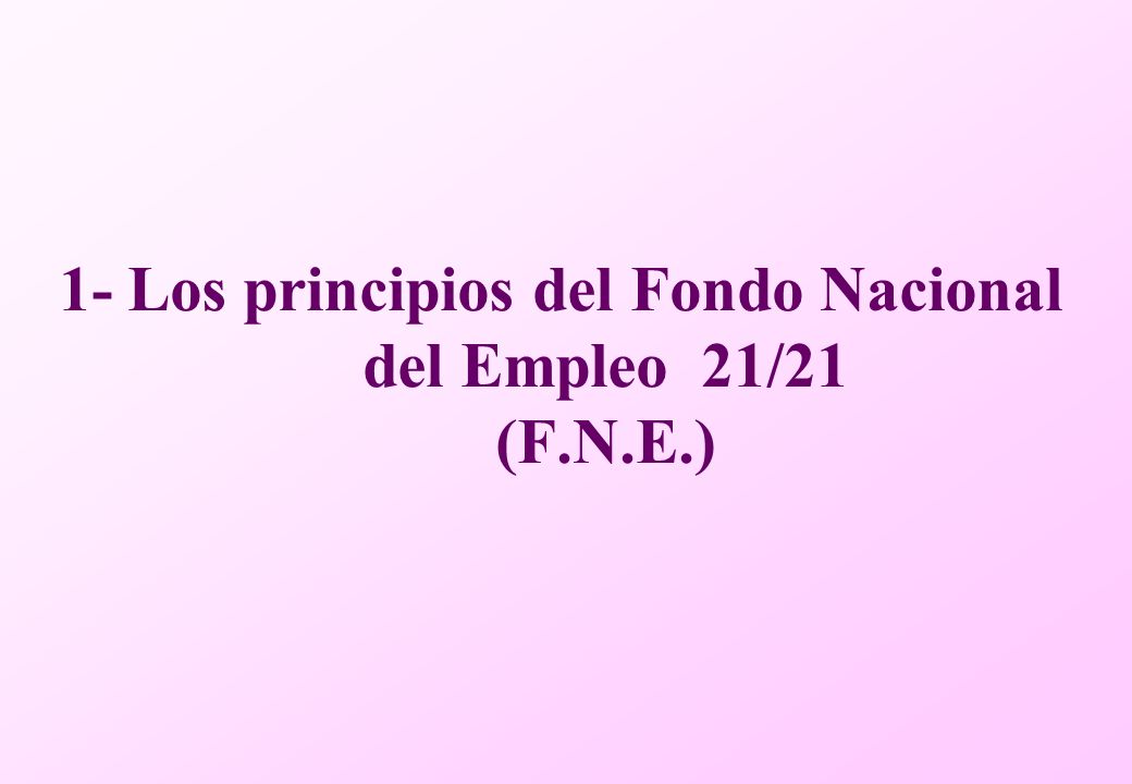 1- Los principios del Fondo Nacional del Empleo 21/21 (F.N.E.)
