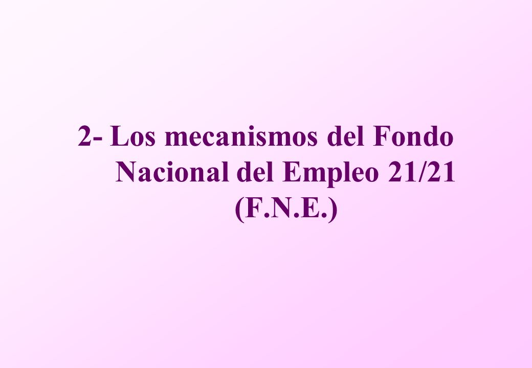 2- Los mecanismos del Fondo Nacional del Empleo 21/21 (F.N.E.)
