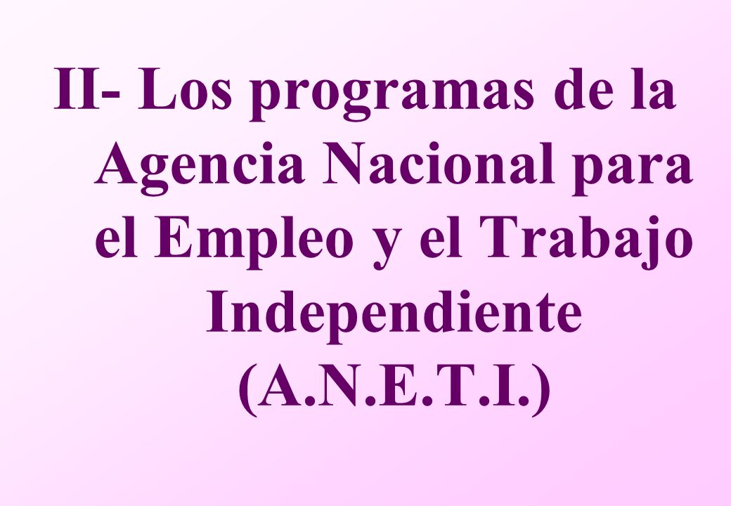 II- Los programas de la Agencia Nacional para el Empleo y el Trabajo Independiente (A.N.E.T.I.)
