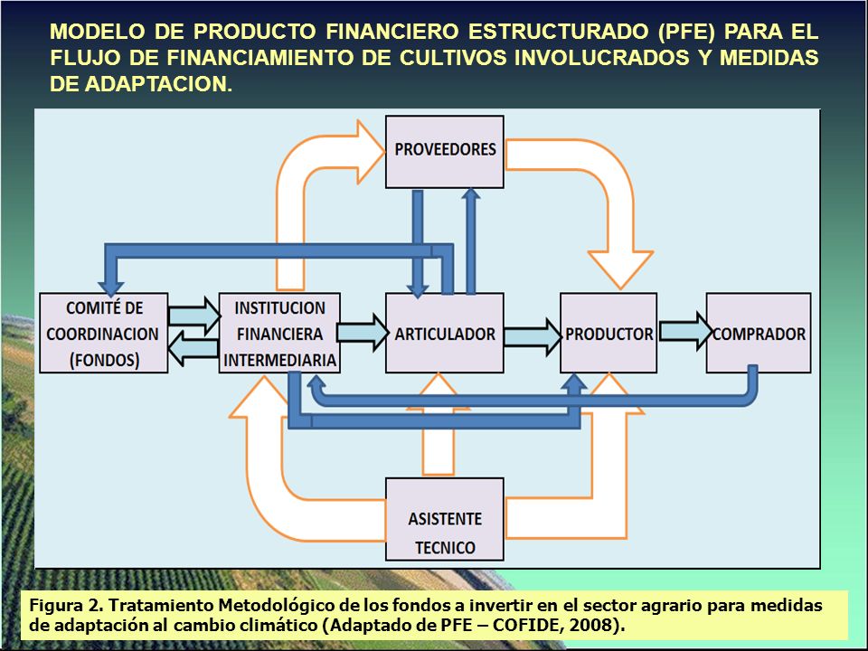 MODELO DE PRODUCTO FINANCIERO ESTRUCTURADO (PFE) PARA EL FLUJO DE FINANCIAMIENTO DE CULTIVOS INVOLUCRADOS Y MEDIDAS DE ADAPTACION.