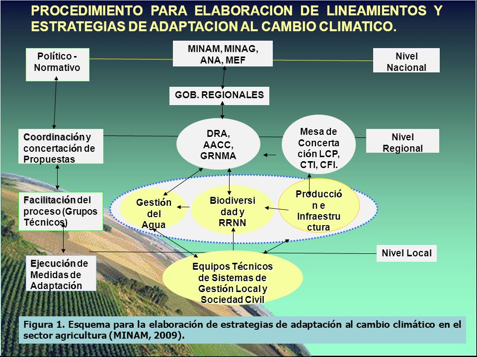 PROCEDIMIENTO PARA ELABORACION DE LINEAMIENTOS Y ESTRATEGIAS DE ADAPTACION AL CAMBIO CLIMATICO.