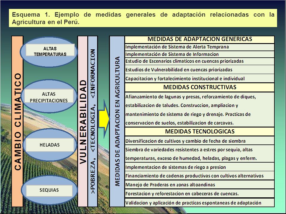 Esquema 1. Ejemplo de medidas generales de adaptación relacionadas con la Agricultura en el Perú.