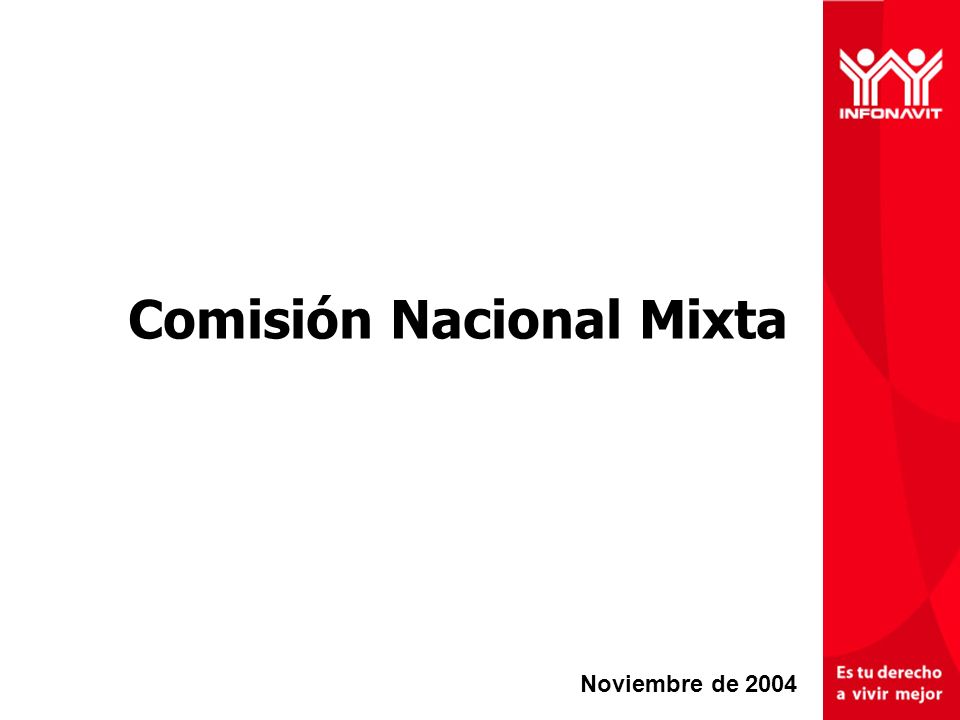 Comisión Nacional Mixta Noviembre de 2004