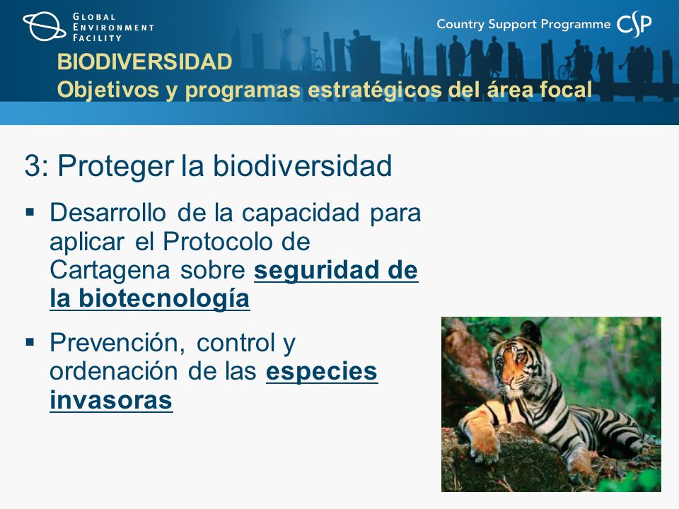 BIODIVERSIDAD Objetivos y programas estratégicos del área focal 3: Proteger la biodiversidad Desarrollo de la capacidad para aplicar el Protocolo de Cartagena sobre seguridad de la biotecnología Prevención, control y ordenación de las especies invasoras