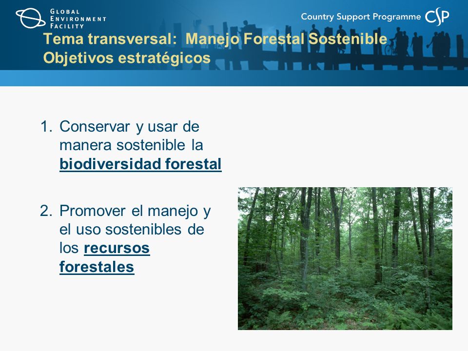 Tema transversal: Manejo Forestal Sostenible Objetivos estratégicos 1.Conservar y usar de manera sostenible la biodiversidad forestal 2.Promover el manejo y el uso sostenibles de los recursos forestales