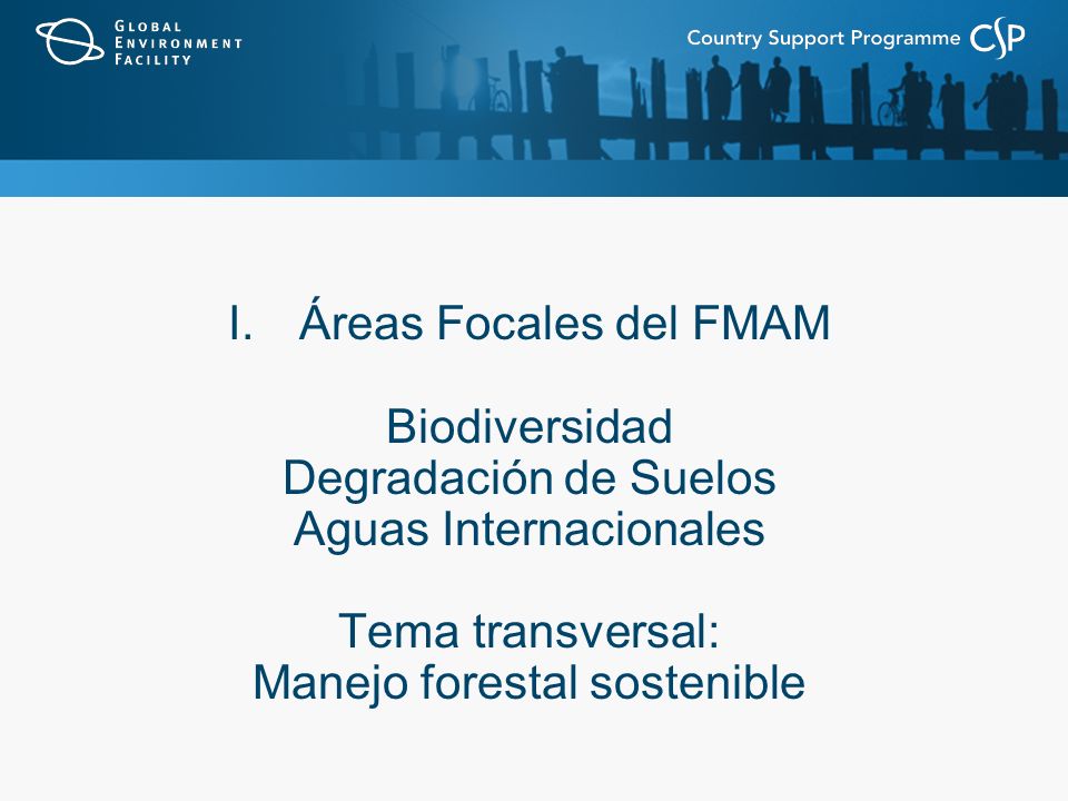I.Áreas Focales del FMAM Biodiversidad Degradación de Suelos Aguas Internacionales Tema transversal: Manejo forestal sostenible