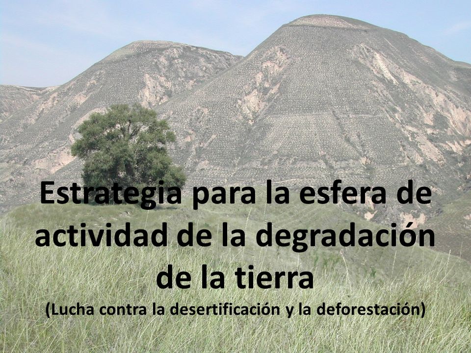 Estrategia para la esfera de actividad de la degradación de la tierra (Lucha contra la desertificación y la deforestación)