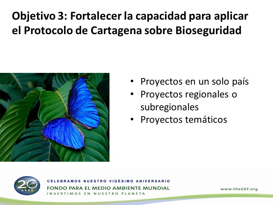 Proyectos en un solo país Proyectos regionales o subregionales Proyectos temáticos Objetivo 3: Fortalecer la capacidad para aplicar el Protocolo de Cartagena sobre Bioseguridad