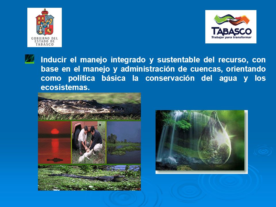 Inducir el manejo integrado y sustentable del recurso, con base en el manejo y administración de cuencas, orientando como política básica la conservación del agua y los ecosistemas.