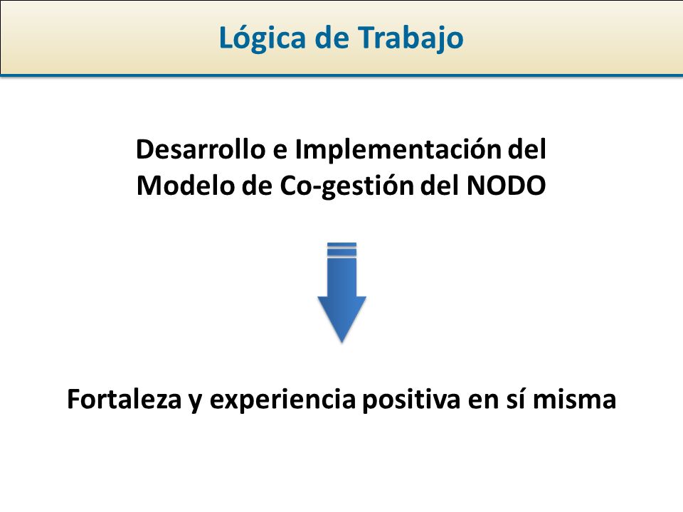 Lógica de Trabajo Desarrollo e Implementación del Modelo de Co-gestión del NODO Fortaleza y experiencia positiva en sí misma