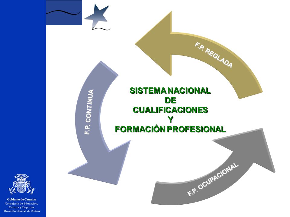 SISTEMA NACIONAL DECUALIFICACIONESY FORMACIÓN PROFESIONAL F.P.
