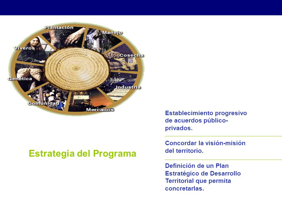 Estrategia del Programa Establecimiento progresivo de acuerdos público- privados.