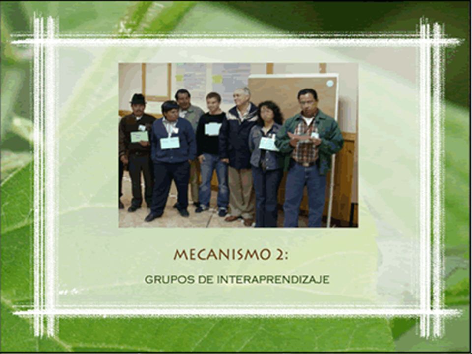 Mecanismo 2: Grupos de Interaprendizaje