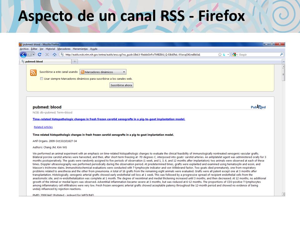 Aspecto de un canal RSS - Firefox