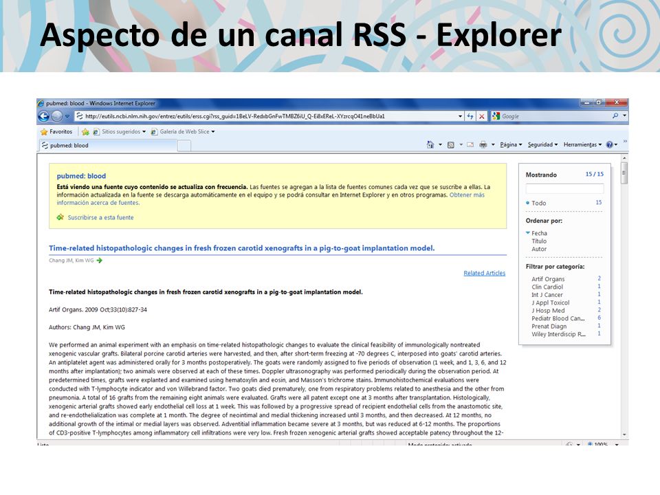 Aspecto de un canal RSS - Explorer
