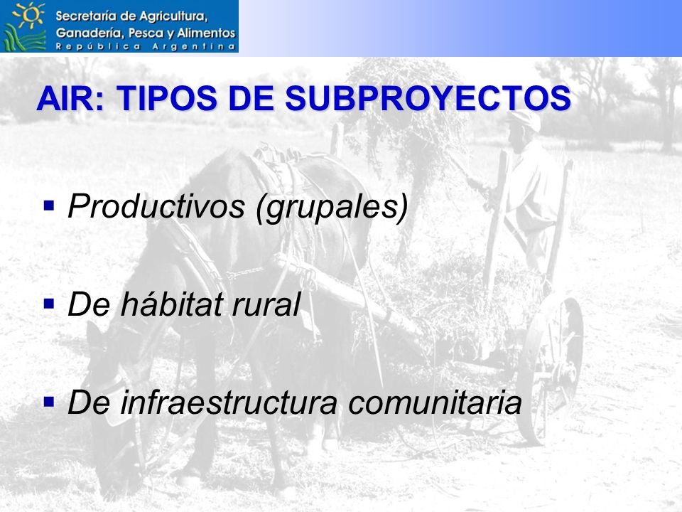 AIR: TIPOS DE SUBPROYECTOS Productivos (grupales) De hábitat rural De infraestructura comunitaria