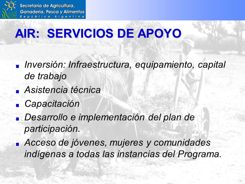 AIR: SERVICIOS DE APOYO Inversión: Infraestructura, equipamiento, capital de trabajo Asistencia técnica Capacitación Desarrollo e implementación del plan de participación.