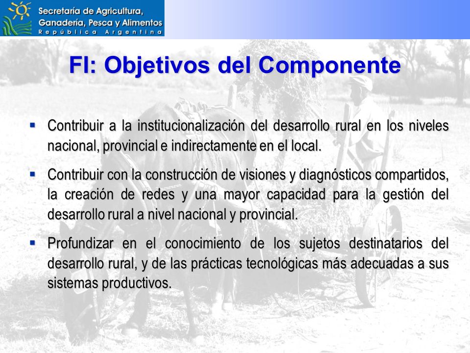 FI: Objetivos del Componente Contribuir a la institucionalización del desarrollo rural en los niveles nacional, provincial e indirectamente en el local.