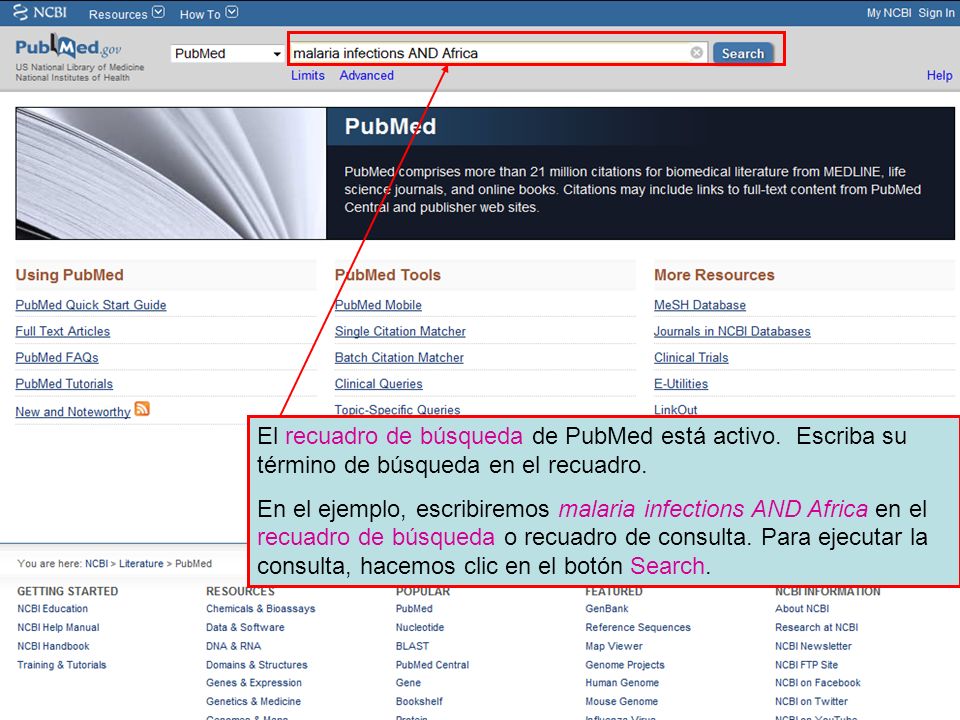 El recuadro de búsqueda de PubMed está activo. Escriba su término de búsqueda en el recuadro.