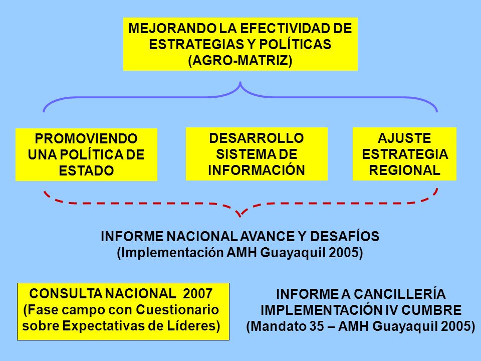 MEJORANDO LA EFECTIVIDAD DE ESTRATEGIAS Y POLÍTICAS (AGRO-MATRIZ) PROMOVIENDO UNA POLÍTICA DE ESTADO DESARROLLO SISTEMA DE INFORMACIÓN AJUSTE ESTRATEGIA REGIONAL INFORME NACIONAL AVANCE Y DESAFÍOS (Implementación AMH Guayaquil 2005) CONSULTA NACIONAL 2007 (Fase campo con Cuestionario sobre Expectativas de Líderes) INFORME A CANCILLERÍA IMPLEMENTACIÓN IV CUMBRE (Mandato 35 – AMH Guayaquil 2005)