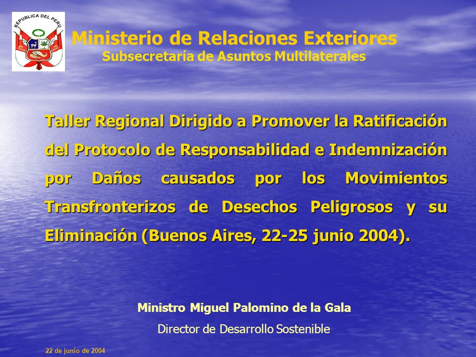 Taller Regional Dirigido a Promover la Ratificación del Protocolo de Responsabilidad e Indemnización por Daños causados por los Movimientos Transfronterizos de Desechos Peligrosos y su Eliminación (Buenos Aires, junio 2004).