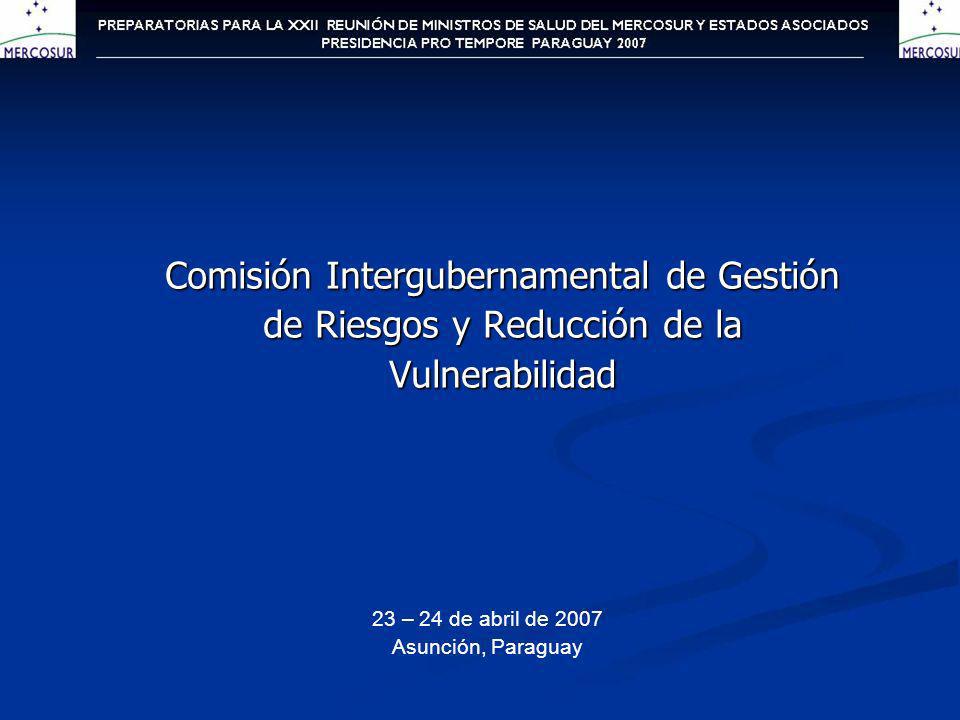 Comisión Intergubernamental de Gestión de Riesgos y Reducción de la Vulnerabilidad 23 – 24 de abril de 2007 Asunción, Paraguay