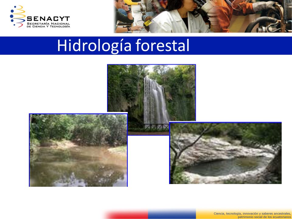 Hidrología forestal