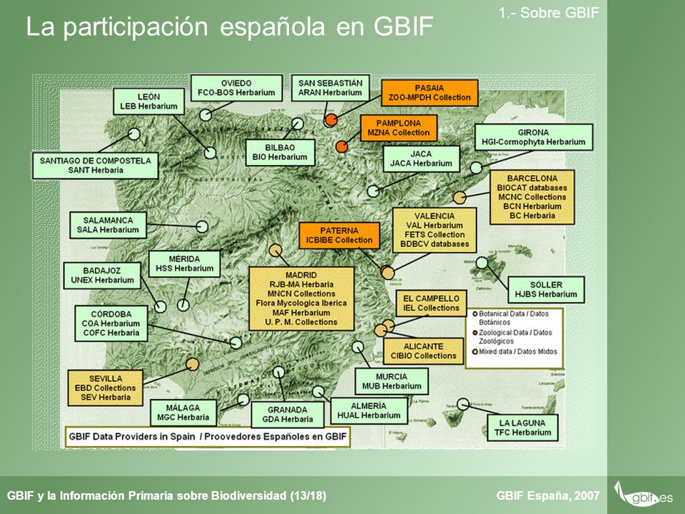Taller de Herbar GBIF España, 2007GBIF y la Información Primaria sobre Biodiversidad (13/18) 1.- Sobre GBIF La participación española en GBIF