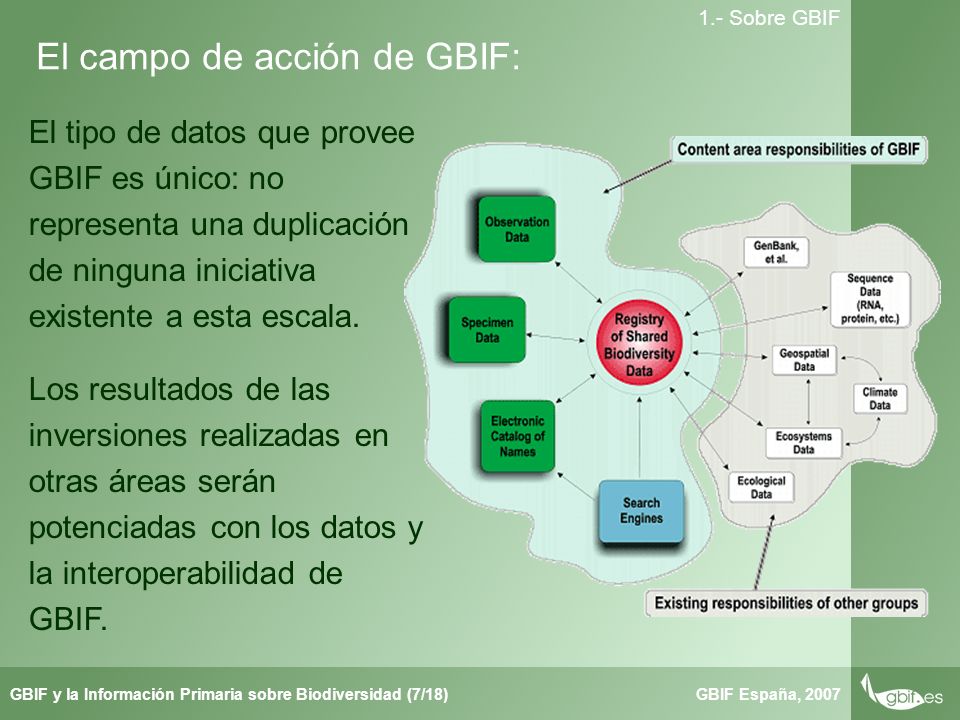 Taller de Herbar GBIF España, 2007GBIF y la Información Primaria sobre Biodiversidad (7/18) 1.- Sobre GBIF El campo de acción de GBIF: El tipo de datos que provee GBIF es único: no representa una duplicación de ninguna iniciativa existente a esta escala.