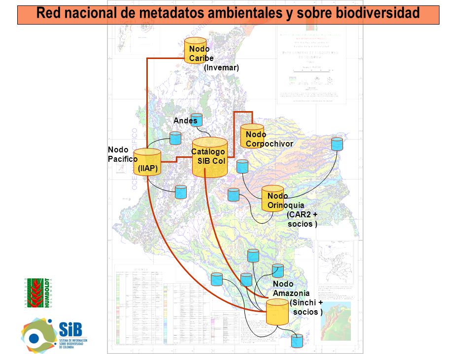 Nodo Pacífico (IIAP) Nodo Caribe (Invemar) Nodo Amazonia (Sinchi + socios ) Catálogo SIB Col Nodo Orinoquia (CAR2 + socios ) Nodo Corpochivor Red nacional de metadatos ambientales y sobre biodiversidad Andes