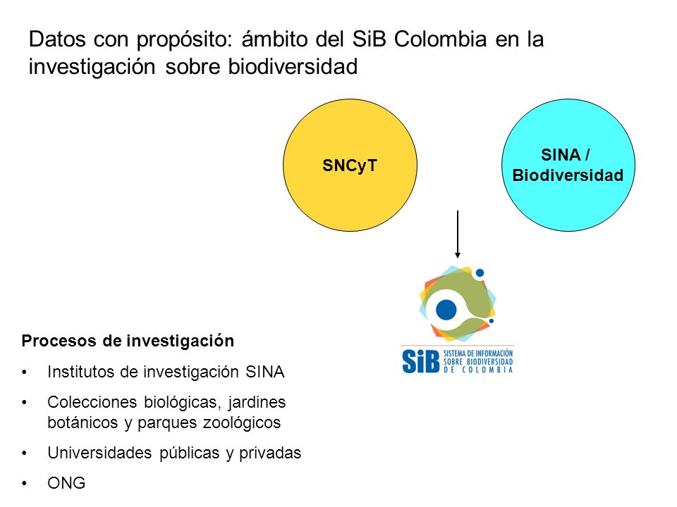 SINA / Biodiversidad SNCyT Datos con propósito: ámbito del SiB Colombia en la investigación sobre biodiversidad Procesos de investigación Institutos de investigación SINA Colecciones biológicas, jardines botánicos y parques zoológicos Universidades públicas y privadas ONG