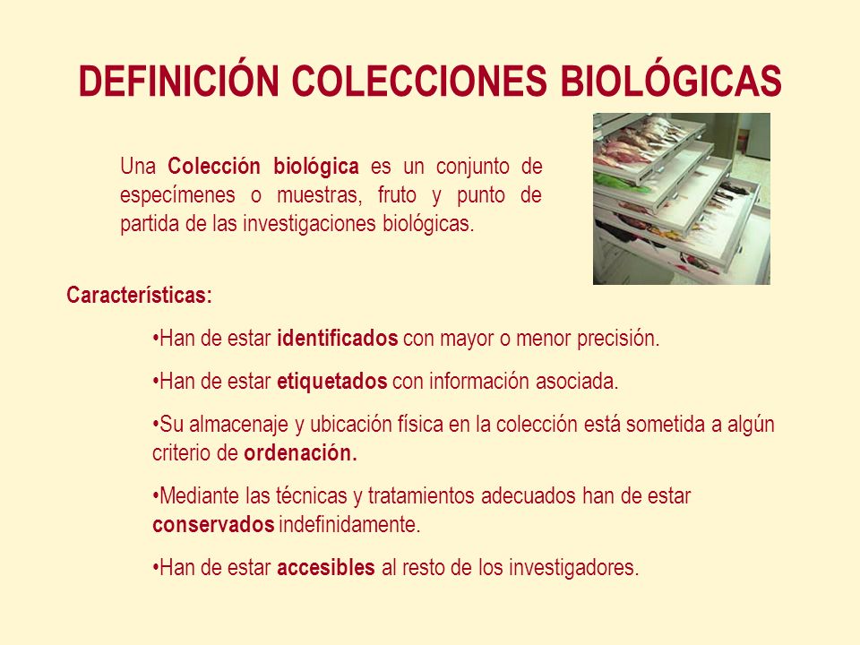 DEFINICIÓN COLECCIONES BIOLÓGICAS Características: Han de estar identificados con mayor o menor precisión.