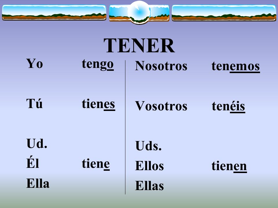 The Verb TENER You must memorize verbs with irregularities.