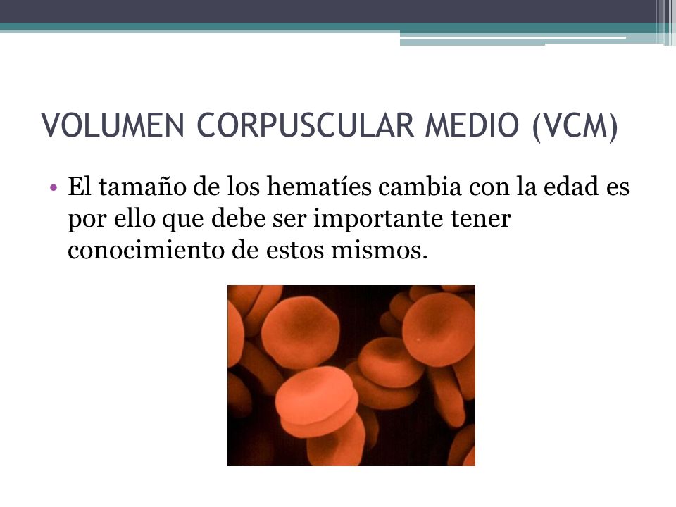 q es el barriguita (NoRAE) corpuscular medio
