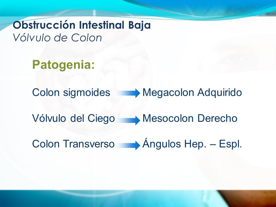 Obstrucción Intestinal Baja Vólvulo de Colon Patogenia: Colon sigmoidesMegacolon Adquirido Vólvulo del CiegoMesocolon Derecho Colon TransversoÁngulos Hep.