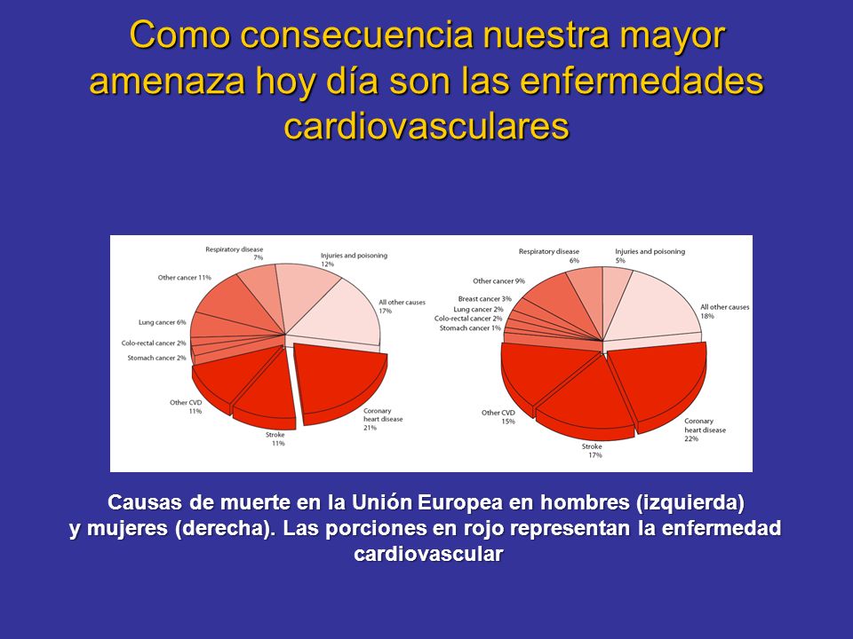Como consecuencia nuestra mayor amenaza hoy día son las enfermedades cardiovasculares Causas de muerte en la Unión Europea en hombres (izquierda) y mujeres (derecha).