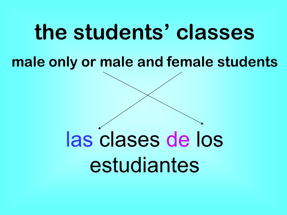 the students classes male only or male and female students las clases de los estudiantes