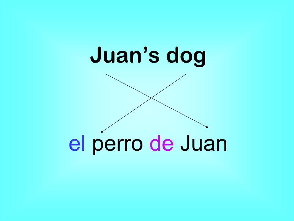 Juans dog el perro de Juan