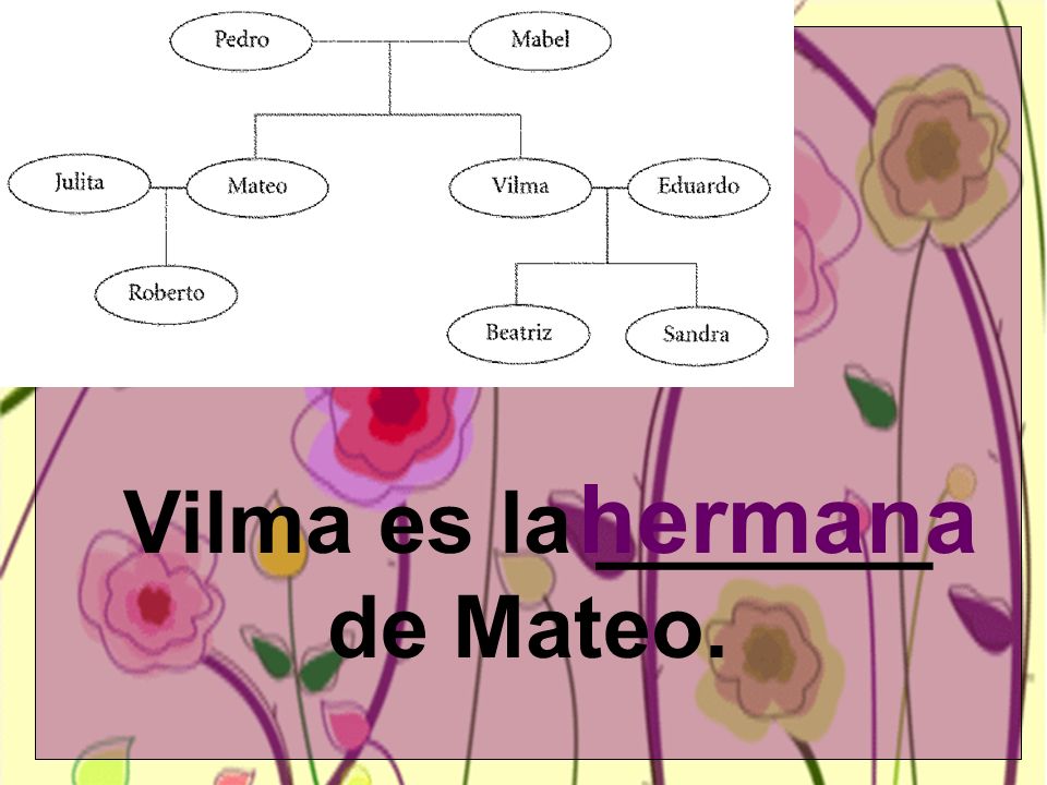 Vilma es la _______ de Mateo. hermana