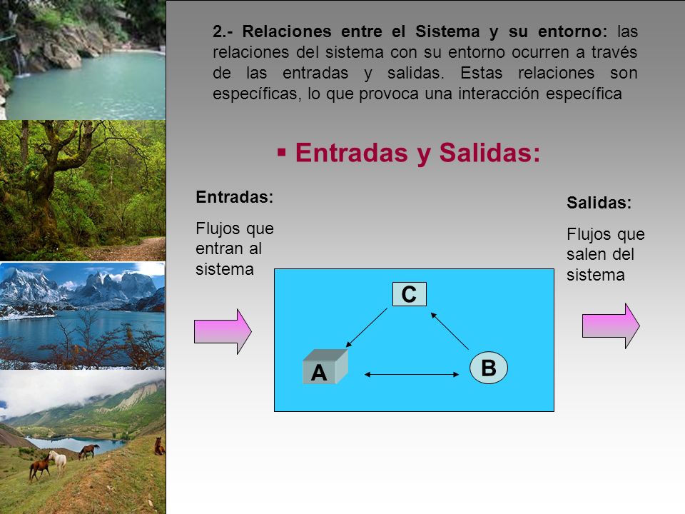 2.- Relaciones entre el Sistema y su entorno: las relaciones del sistema con su entorno ocurren a través de las entradas y salidas.