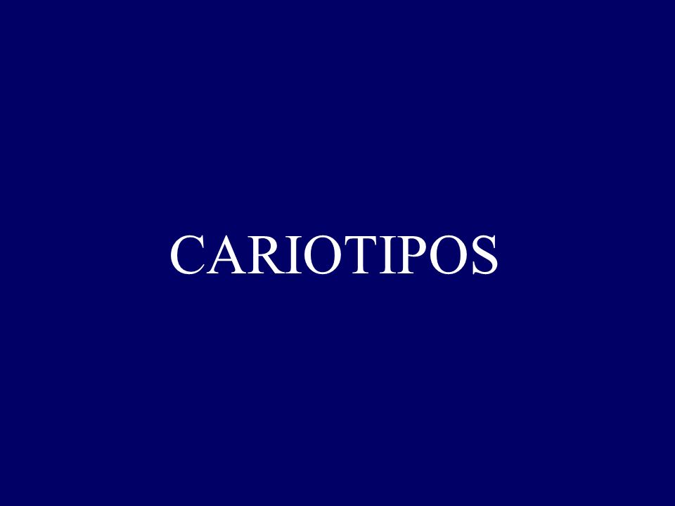 CARIOTIPOS