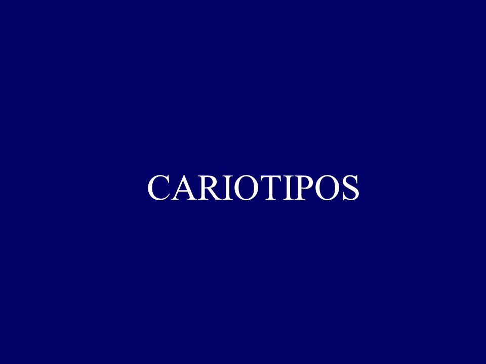 CARIOTIPOS