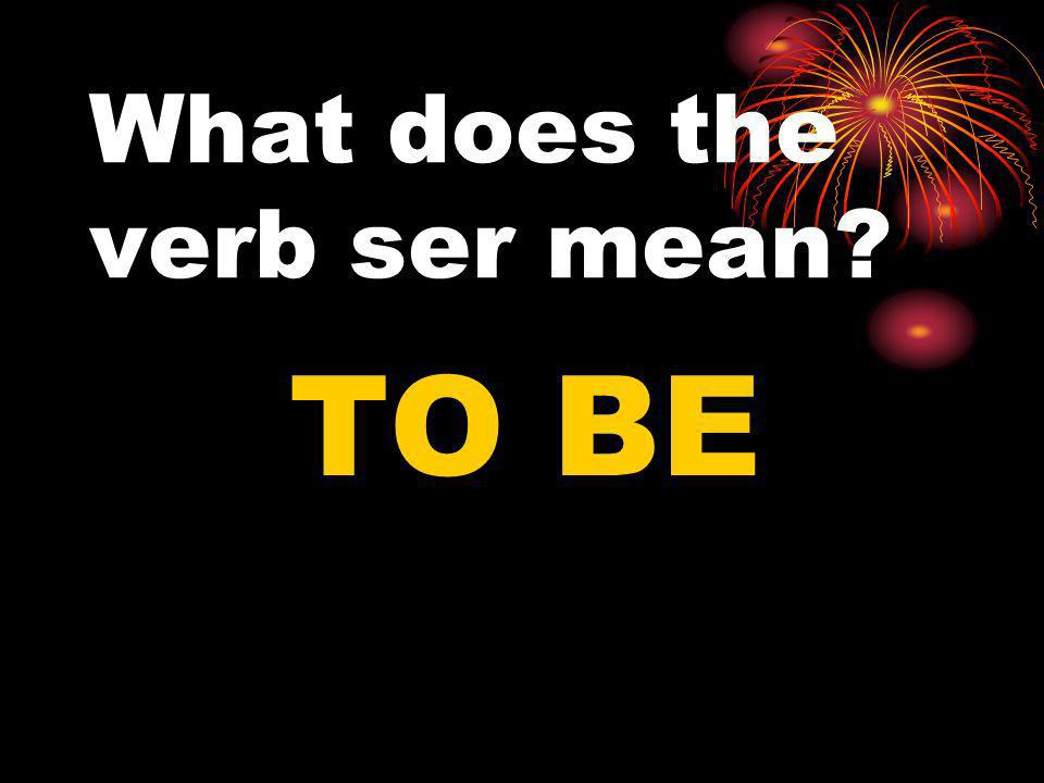 What does the verb ser mean TO BE