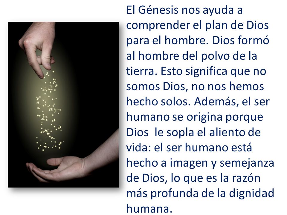 El Génesis nos ayuda a comprender el plan de Dios para el hombre.