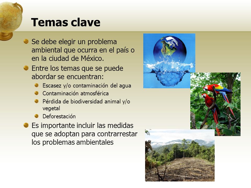 Temas clave Se debe elegir un problema ambiental que ocurra en el país o en la ciudad de México.