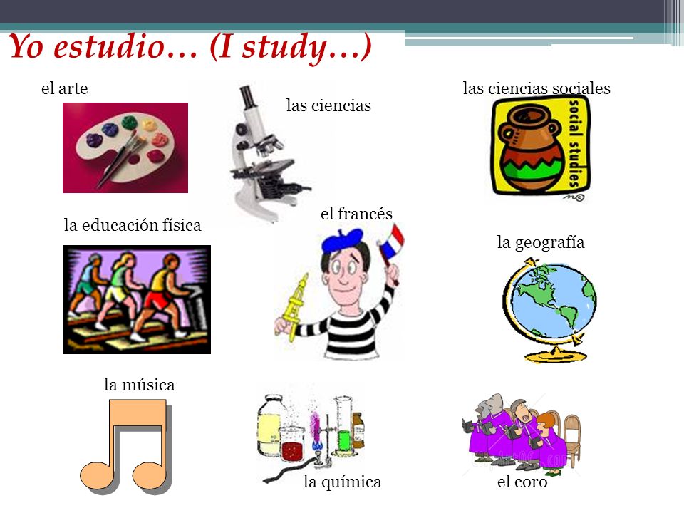 Yo estudio… (I study…) el arte las ciencias las ciencias sociales la educación física el francés la geografía la químicael coro la música