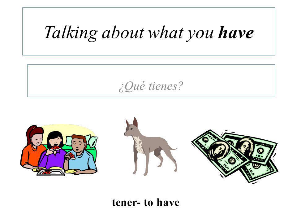 Talking about what you have ¿Qué tienes tener- to have