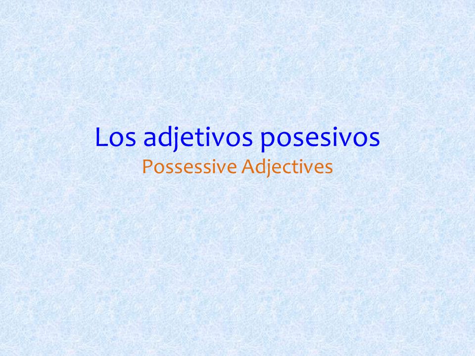 Los adjetivos posesivos Possessive Adjectives