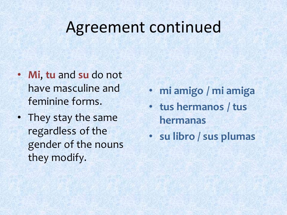 Agreement continued Mi, tu and su do not have masculine and feminine forms.